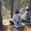 금산군, 시나브로 치유길 프로그램 안내
