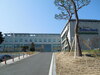 홍삼추출 제조시설 인증환경 개선 사업 시행