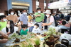 제3차 청소년어울림마당 ‘청소년 농촌체험학습 한마당’ 개최