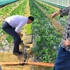 금산군농업기술센터, 비료 절감 지도 총력
