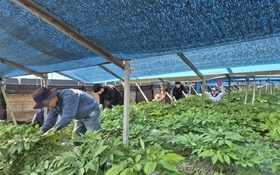 금산군청 인삼약초정책과·금산인삼약초산업진흥원, 농촌봉사활동 전개