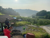 금산군, 돌발해충 피해 최소화 공동 협업 방제 전개