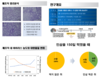 '금산인삼약초산업진흥원' 코로나19 감염에 대한 인삼의 면역력 입증