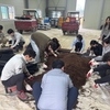 금산군 남일면, 농촌 일손 돕기 ‘구슬땀’