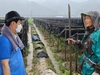 금산인삼농협, 과거의 역사와 명성 되찾고 새로운 도약