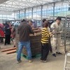 금산군농업기술센터·금산군보건소, 봄철 농촌일손돕기 전개