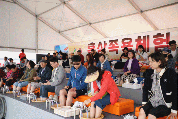 제41회 금산세계인삼축제, 인기몰이 비결 알고 보니